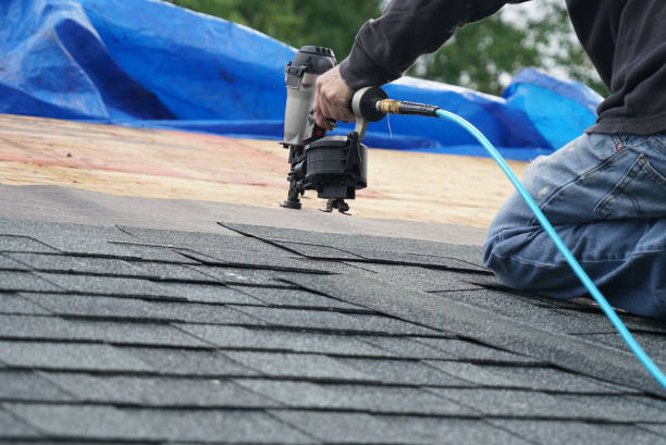 Best Roof Gutter Cleaning  in Madison, GA