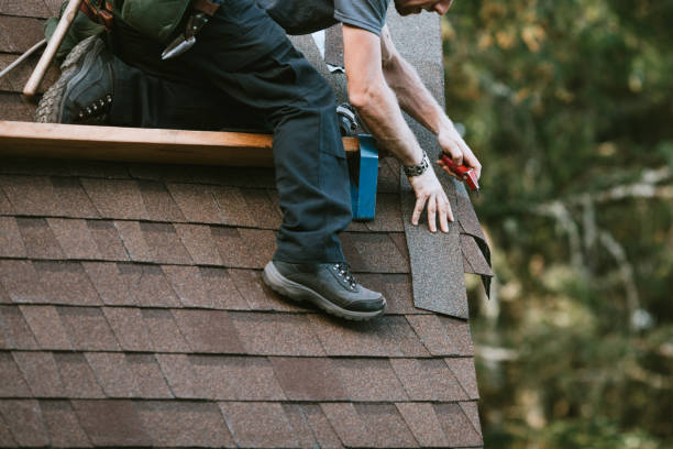 Roof Gutter Cleaning in Madison, GA